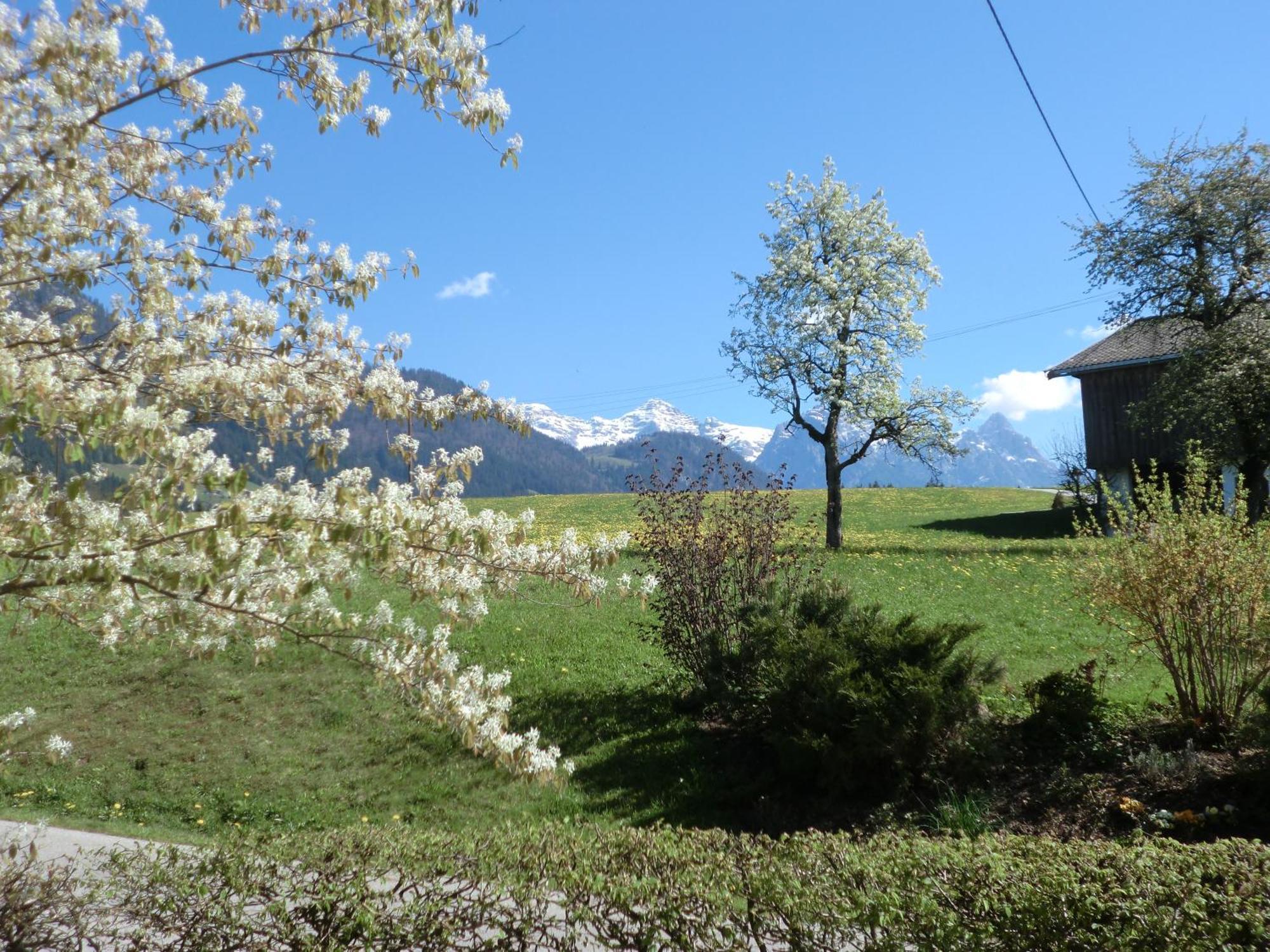 Vornbichlhof Apartamento Fieberbrunn Exterior foto